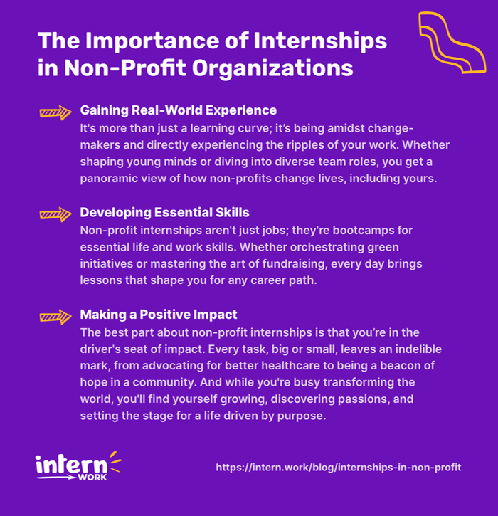 The Importance of Internships in Non-Profit Organizations